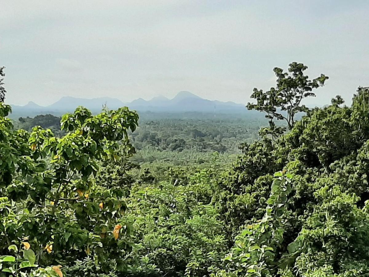 Kande Gedara Resort Monaragala エクステリア 写真